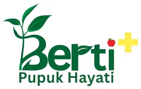 bertiplus